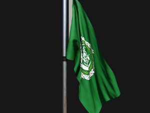 Flag of arab-league 02 Modello 3D