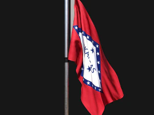 Flagge von Arkansas 02 3D Modell