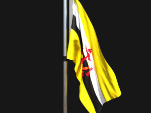 Flag of brunei 02 3D Модель