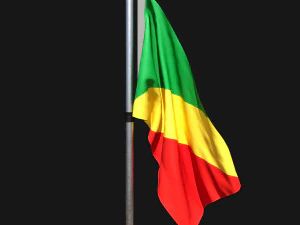 Flag of congo republic 02 3D Model