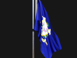 Flag of connecticut 02 Modelo 3D