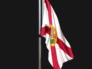 Florida bayrağı 02 3D Model