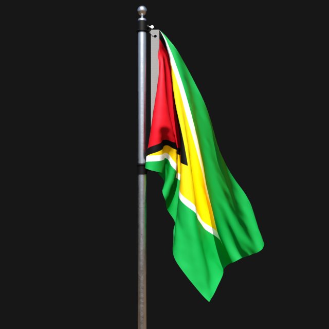 Flag of guyana 02 Model 3D .c4d .max .obj .3ds .fbx .stl .blend 