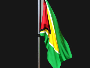 Flag of guyana 02 3D Model