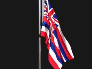 Flag of hawaii 02 3D Model