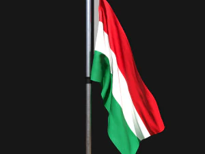 Flag of hungary 02 3D Model