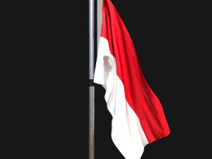 Bandiera dell'indonesia 02 Modello 3D