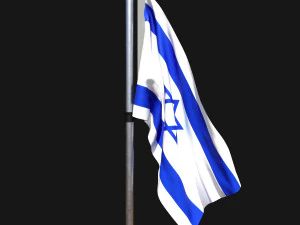 Flag of israel 02 3D Model