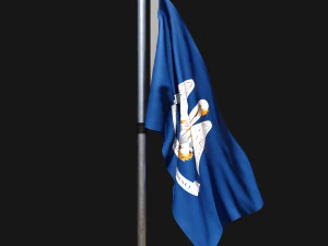Flag of louisiana 02 3D Model