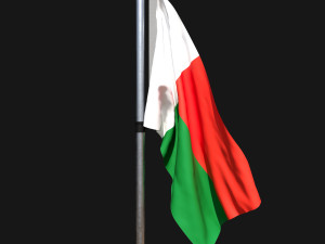 Flag of madagascar 02 Modelo 3D
