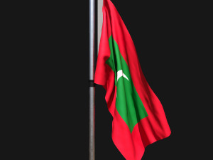 Flag of maldives 02 3D Model