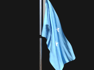 Flag of micronesia 02 3D Модель
