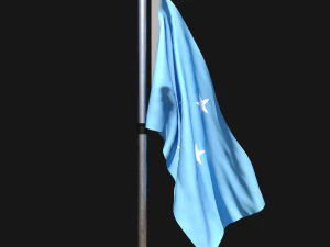 Флаг Микронезии 02 3D Модель