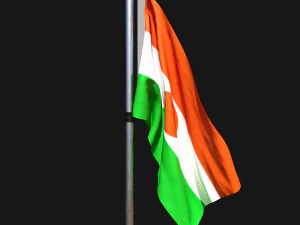 Flag of niger 02 3D Model
