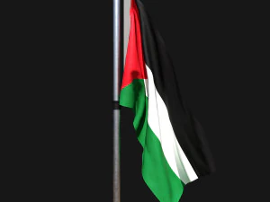 Bandiera della palestina 02 Modello 3D