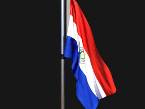 Flag of paraguay 02 3D Model