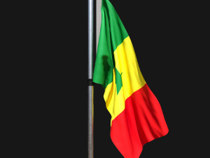 Flag of senegal 02 Modelo 3D