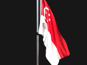 Flag of singapore 02 Modelo 3D