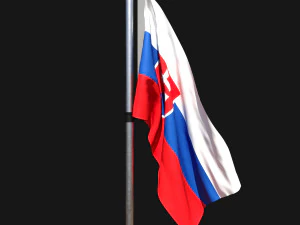 Slovakya bayrağı 02 3D Model