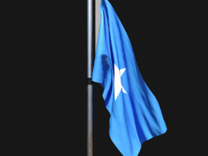 Flag of somalia 02 3Dモデル