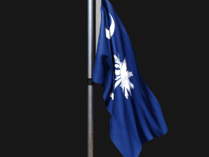 Flag of south carolina 02 3D Model