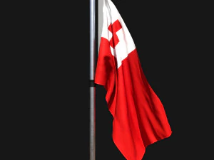 Bandiera della tonga 02 Modello 3D