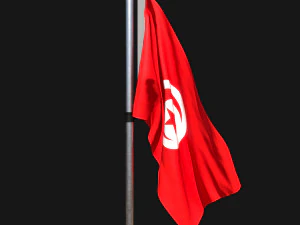 튀니지의 국기 02 3D 모델