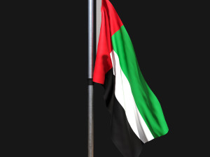 Flag of united arab emirates 02 3D 모델