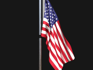 Flag of united states of america 02 3D Model