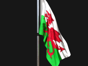 Flag of wales 02 3D मॉडल