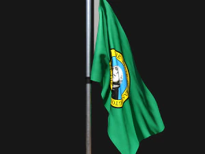 Флаг Вашингтона 02 3D Модель