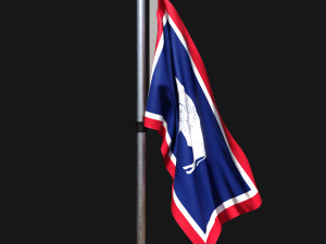 Flag of wyoming 02 Model 3D