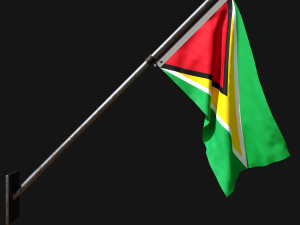 Flag of guyana 03 3Dモデル