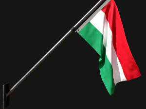 Flag of hungary 03 3D Model