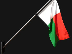 Bendera madagaskar 03 Model 3D