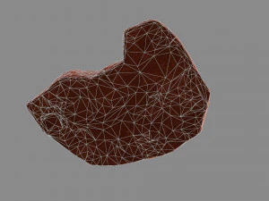 Mountain Rock 06 3D Model
