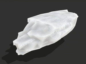 Ice rocks 16 3D Model