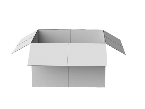 Amazon Kutusu 2D PBR 07 3D Model