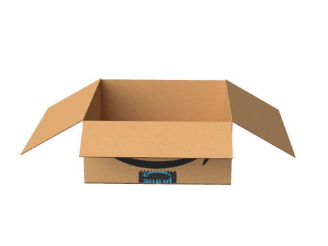 Amazon Box 1H PBR 12 3D 模型