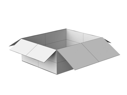 Amazon Box 1H PBR 12 3D 模型