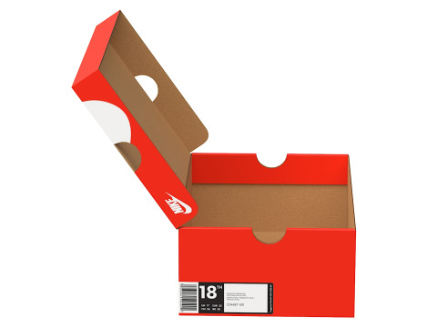 Nike Shoe Box 01 3D Model