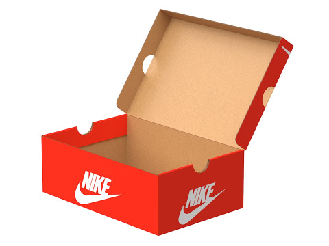 Nike Shoe Box 01 3D Model