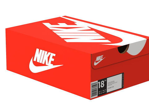Nike Shoe Box 01 3D Model