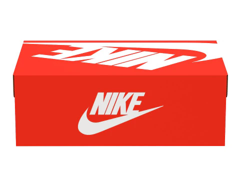 Nike Shoe Box 01 3D Model