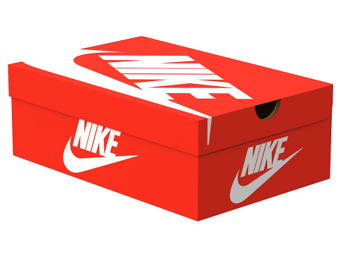 Nike Shoe Box 01 3D Model