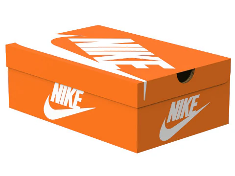 Nike Shoe Box 02 3D Model