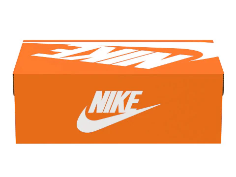 Nike Shoe Box 02 3D Model