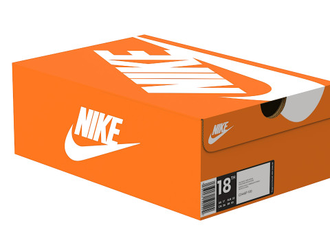 Nike Shoe Box 02 3D-Modell