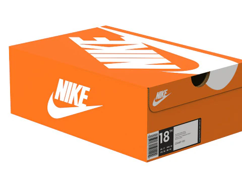 Nike Shoe Box 02 3D Model