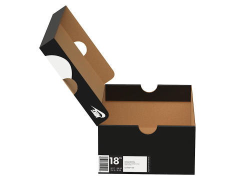 Nike Shoe Box 03 Modèle 3D